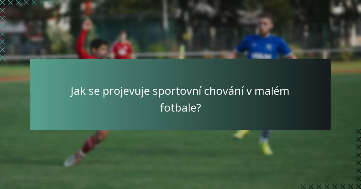 Jak se projevuje sportovní chování v malém fotbale?