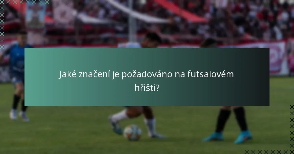 Jaké značení je požadováno na futsalovém hřišti?